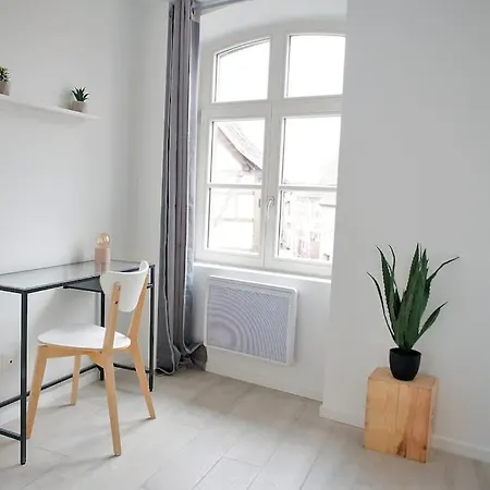 La Pomme Du President Ii Apartament Sélestat